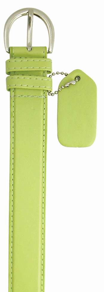 BRF BELT - COACH