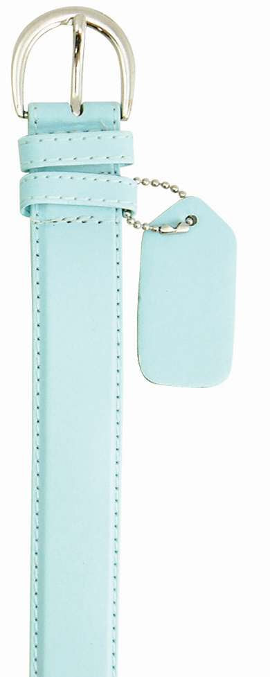 BRF BELT - COACH