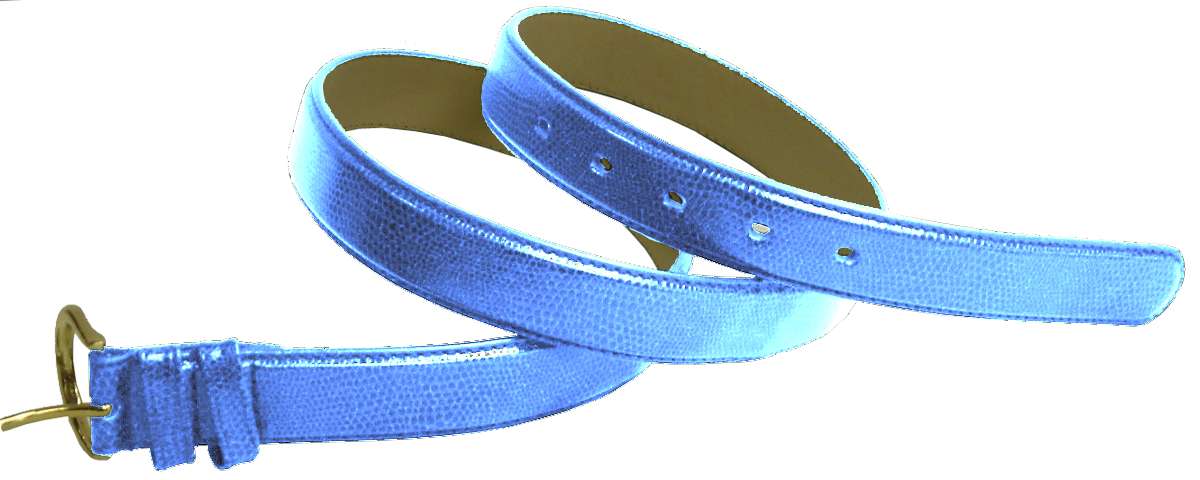 BRF BELT -SNAKE COACH SKY