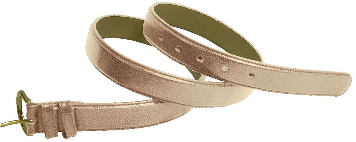 BRF BELT -SNAKE COACH OFF WHT