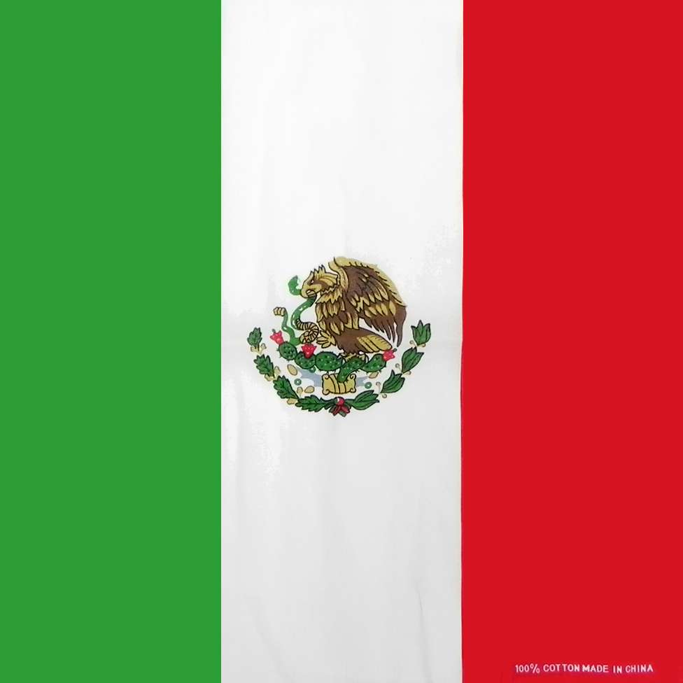 DREAM BANDANA - FOLDED FLAG