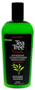 FANTASIA T-TREE NAT INST CD