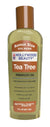 HOLLYWOOD OIL [TEA TREE]  6/DP BONUS